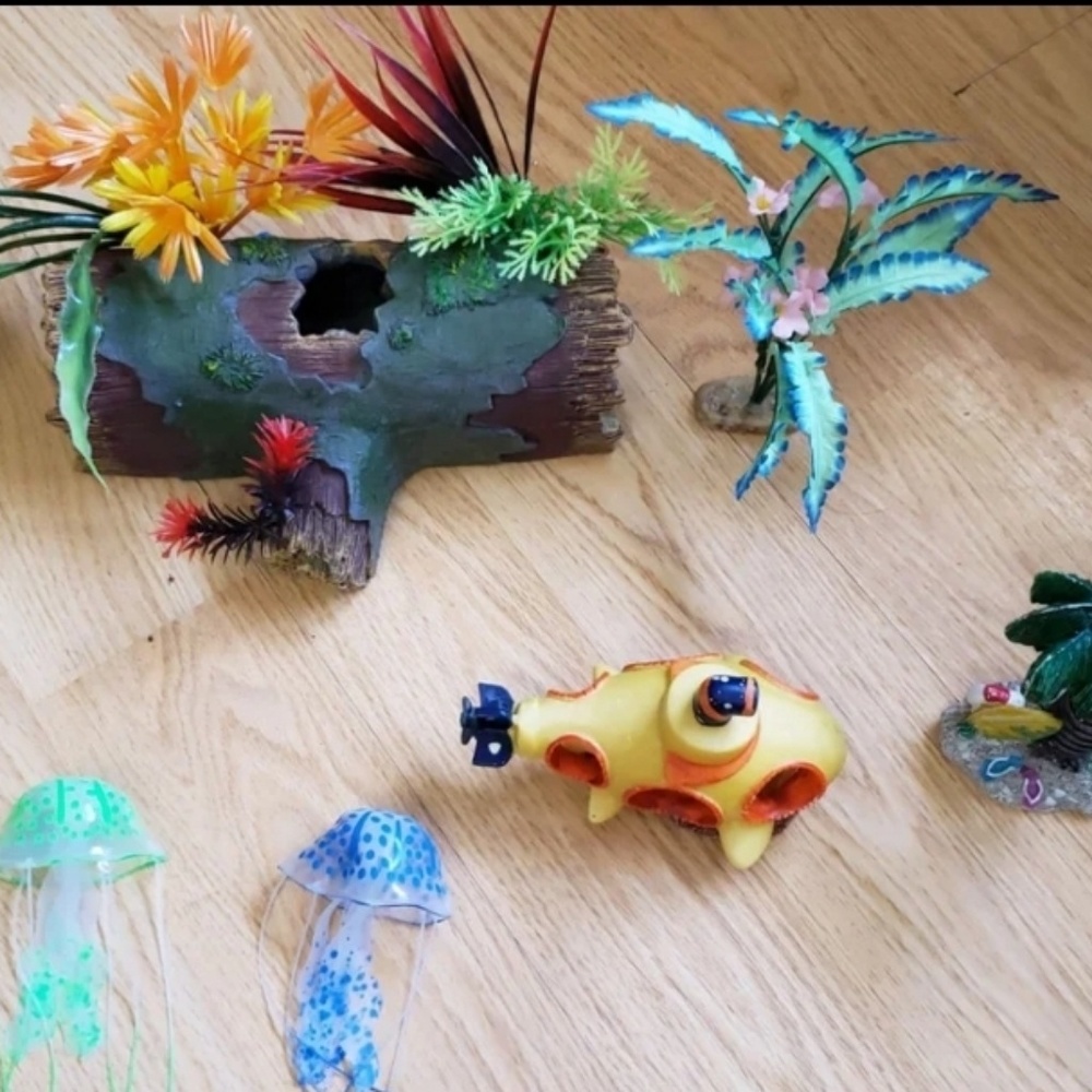 Betta Tank Decorations